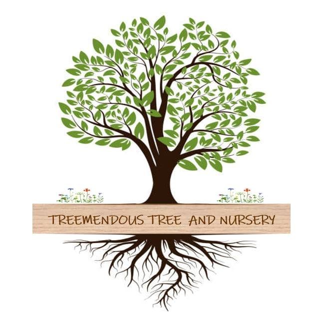 Treemendous Tree Service & Nursery