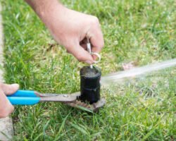 A pop-up sprinkler system head is being adjusted with a key to decrease or increase radius of the spray.