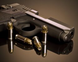 Handgun and Hollow Points